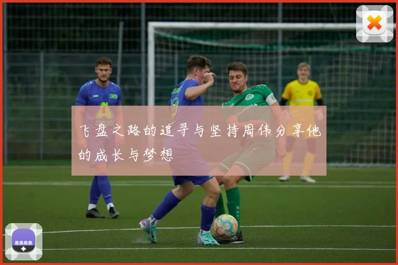 飞盘之路的追寻与坚持周伟分享他的成长与梦想