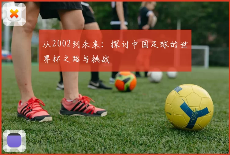 从2002到未来：探讨中国足球的世界杯之路与挑战