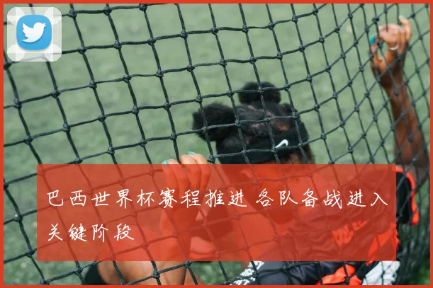 巴西世界杯赛程推进 各队备战进入关键阶段