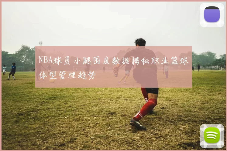 NBA球员小腿围度数据揭秘职业篮球体型管理趋势