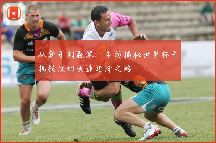 从新手到赢家：专访揭秘世界杯手机投注的快速进阶之路