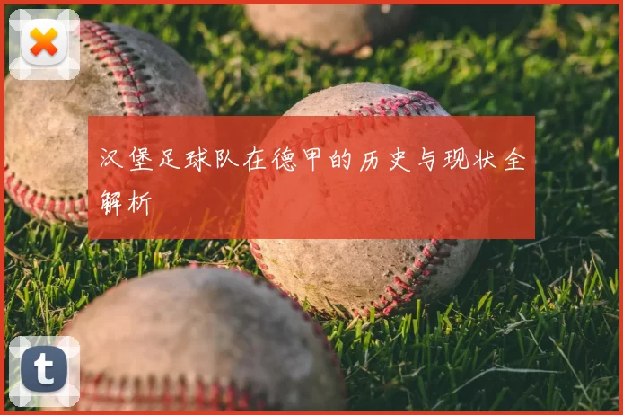 汉堡足球队在德甲的历史与现状全解析