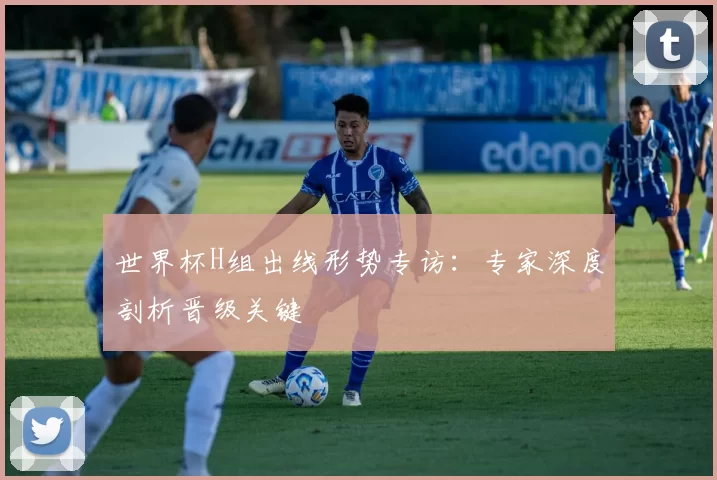 世界杯H组出线形势专访：专家深度剖析晋级关键