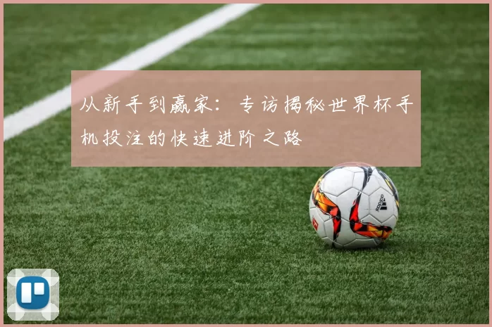 从新手到赢家:专访揭秘世界杯手机投注的快速进阶之路