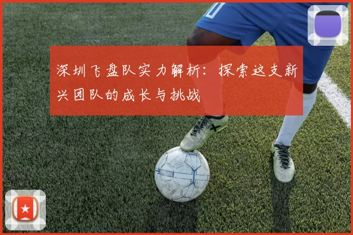 深圳飞盘队实力解析：探索这支新兴团队的成长与挑战