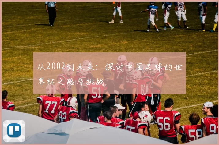 从2002到未来:探讨中国足球的世界杯之路与挑战