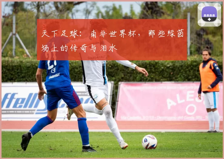 天下足球：南非世界杯，那些绿茵场上的传奇与泪水