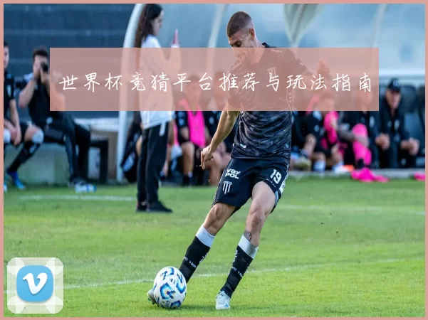 世界杯竞猜平台推荐与玩法指南