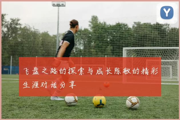 飞盘之路的探索与成长陈敏的精彩生涯对话分享