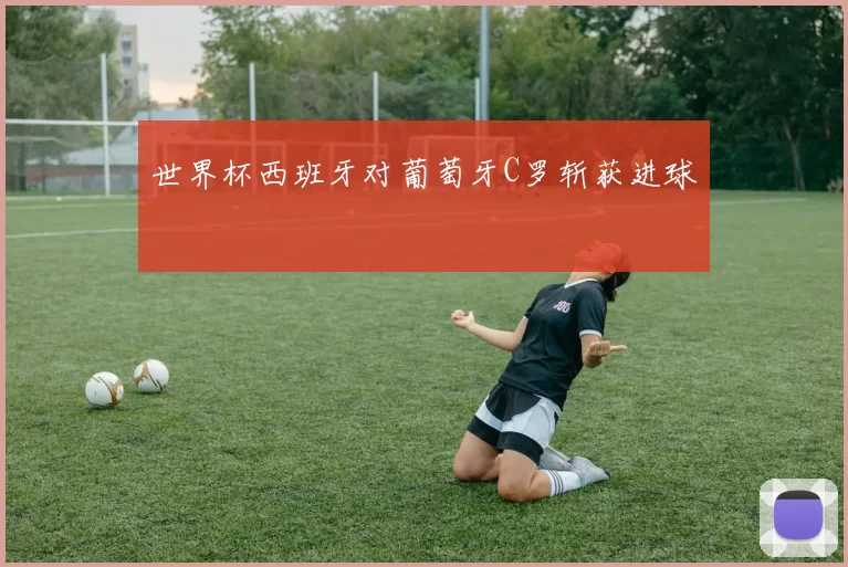 世界杯西班牙对葡萄牙C罗斩获进球