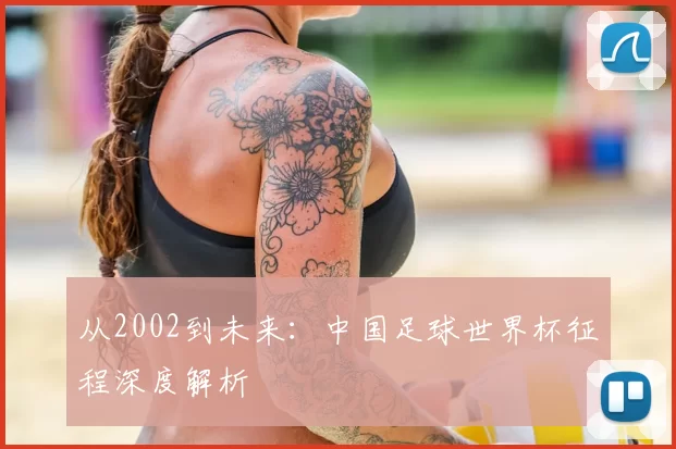 从2002到未来：中国足球世界杯征程深度解析
