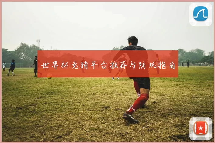 世界杯竞猜平台推荐与防坑指南